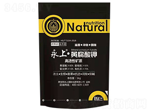 ���ϡ��S�����-���ϻ���