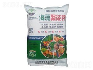 ��������-�عڸ�