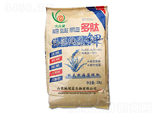 ����{���-�عڸ�