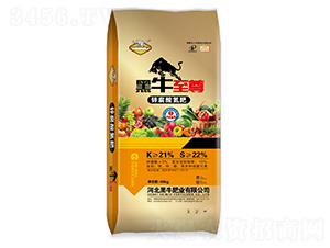 �\���ᵪ��-��ţ����-��ţ�ʘI(y��)