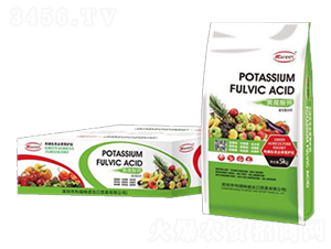 �S�����-������