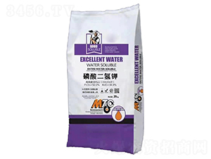 ��������-�����o(j��)�ʘI(y��)