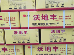 �_ʩ��-�ֵ��S-�����o(j��)�ʘI(y��)