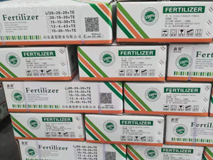 �_ʩ��-�����o(j��)�ʘI(y��)