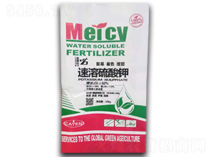 ���������-�����o�ʘI(y��)