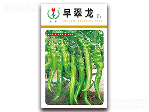 �����-�����N��-�ֵ�