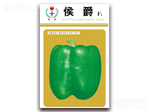 ���-�����N��-�ֵ�