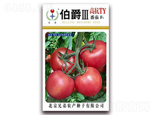 ������-���ѷN��-�ֵ�