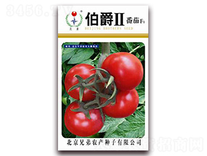 ������-���ѷN��-�ֵ�