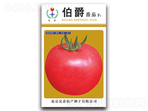 ����-���ѷN��-�ֵ�