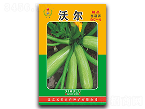 �֠�-�����J�N��-�ֵ�