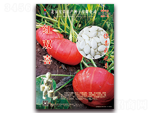 �t�pϲ-�ϹϷN��-�ֵ�