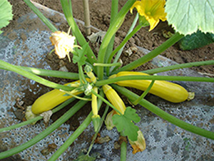 �S�������J-�����J�N��-�M��N��