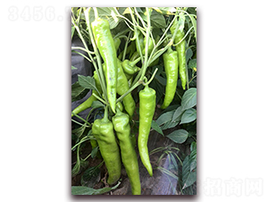 �ׁ�(l��i)��һ̖(h��o)-�����N��-�M��N��