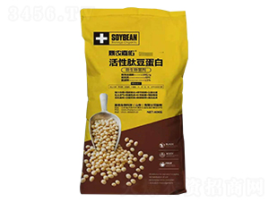 �����Ķ�����-���r(n��ng)����-��������