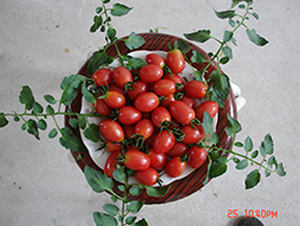 ��ϲ���ҷ���-���ѷN��-�M��N��