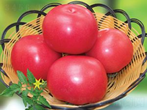 �ݷ۶�̖����-���ѷN��-�M��N��