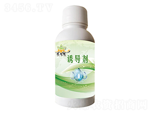 �T��(d��o)��-���A٢-�h���r(n��ng)�I(y��)