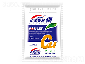 ���ϑB(t��i)�~��-��������-�֠��ʘI(y��)