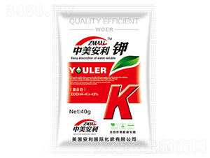 ���ϑB(t��i)⛷�-��������-�֠��ʘI(y��)