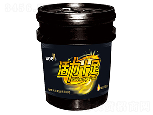 �_ʩ��-����ʮ��-�֠��ʘI(y��)