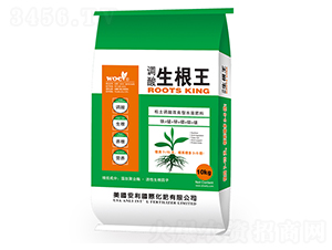 �{(di��o)��������-�֠��ʘI(y��)