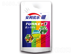 ������(y��u)����-�֠��ʘI(y��)