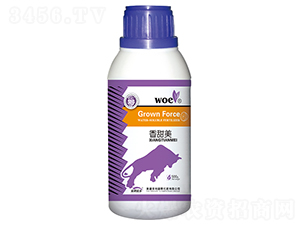 �~���-������-�֠��ʘI(y��)