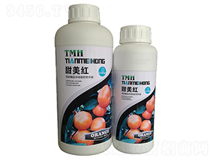 �~���-�����t-�֠��ʘI(y��)