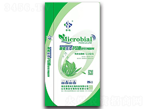 �������B(t��i)ˎ��΢�������-����