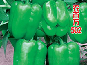 �r(n��ng)���f502-�𽷷N��-�r(n��ng)���f