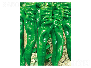 ������3̖(h��o)-�ݽz���N��-�r(n��ng)���f