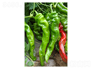 ������5̖(h��o)-�ݽz���N��-�r(n��ng)���f