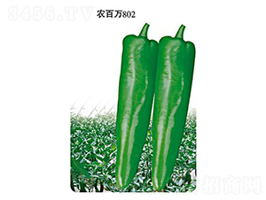 �r(n��ng)���f802-�ݽ��N��-�r(n��ng)���f