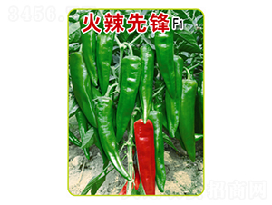 �������h-�ݽ��N��-�r(n��ng)���f