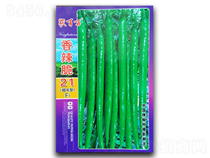 ������21̖(h��o)-�����N��-�r(n��ng)���f(w��n)