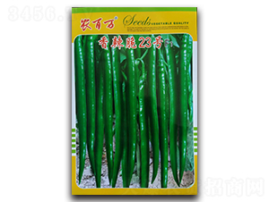 ������23̖(h��o)-�����N��-�r(n��ng)���f(w��n)