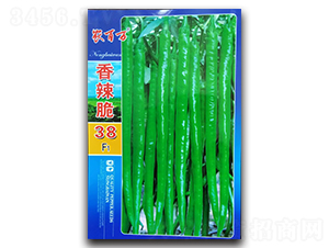 ������38̖-�����N��-�r(n��ng)���f