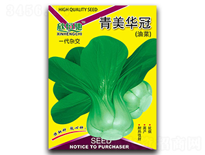 �����A��-��˷N��-���Y�N�I(y��)