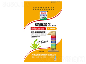 �������̼ø����-̼ø�ڽ�-�����f�@-��Z�r(n��ng)�I(y��)