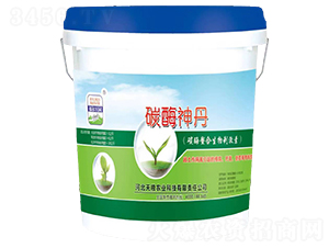 ̼ø��������̼���-̼ø��-�����f�@-��Z�r(n��ng)�I(y��)