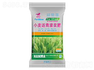 С��������{��-�ӱ����R