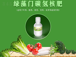 �G���T̼��˷�-���S