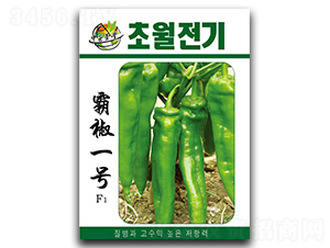 �Խ�һ̖-�����N��-�A�S�N�I(y��)