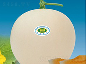 ��������-��ϷN��-�A�S�N�I(y��)