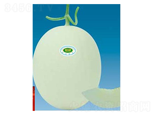 ������̖-��ϷN��-�A�S�N�I(y��)