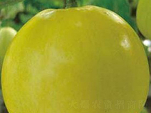 ����415-��ϷN��-�A�S�N�I(y��)