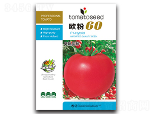 �W��60-���ѷN��-�A�S�N�I(y��)