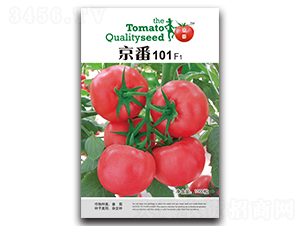 ����101-���ѷN��-�A�S�N�I(y��)