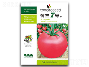 ���m7̖(h��o)-���ѷN��-�A�S�N�I(y��)